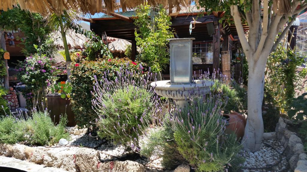 مبيت وإفطار Charco del Pino Casa Giuliana المظهر الخارجي الصورة
